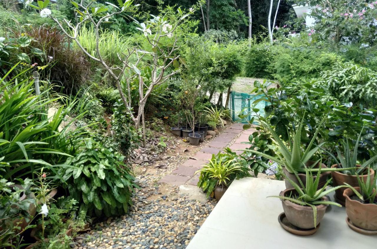 Perfect Sea View Mountain Villa Koh Samui Praia Chaweng Exterior foto