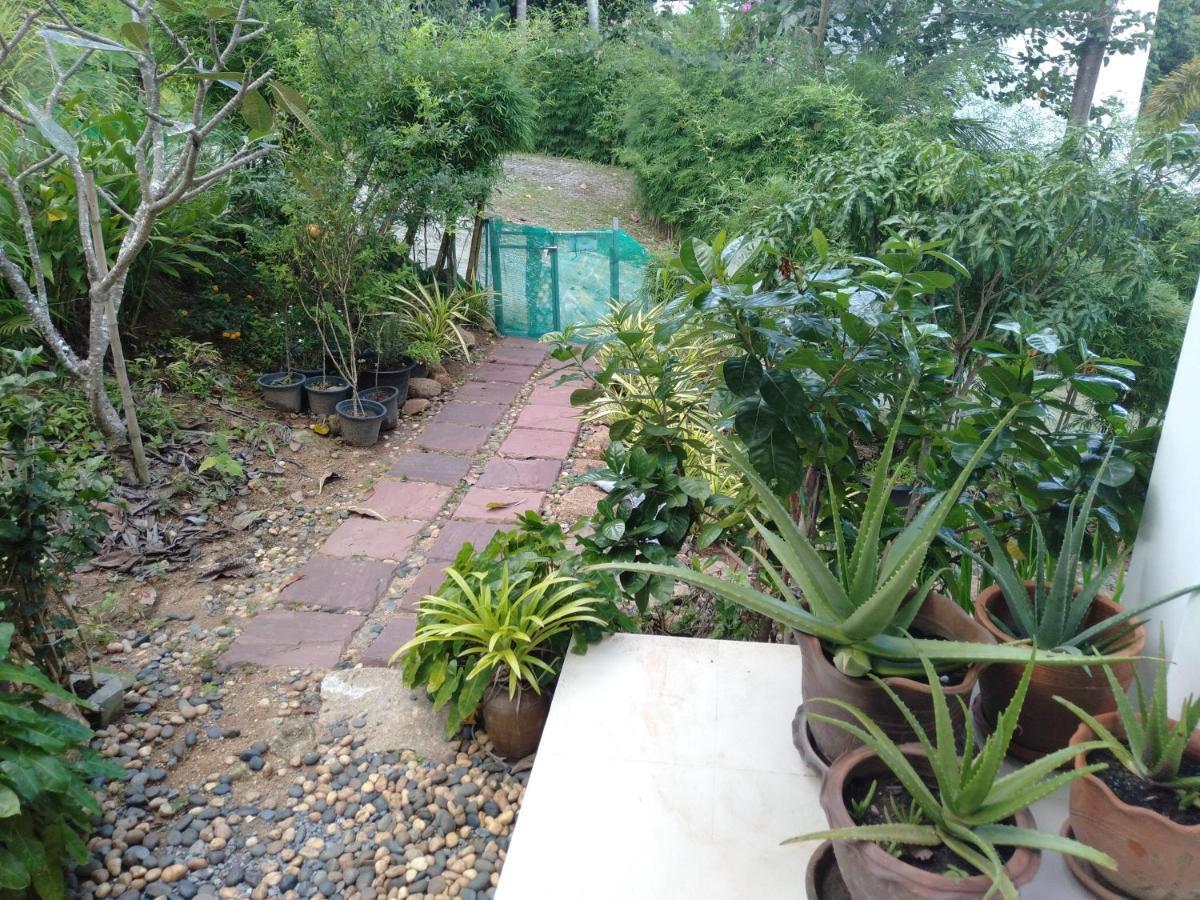 Perfect Sea View Mountain Villa Koh Samui Praia Chaweng Exterior foto